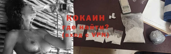 PSILOCYBIN Семёнов