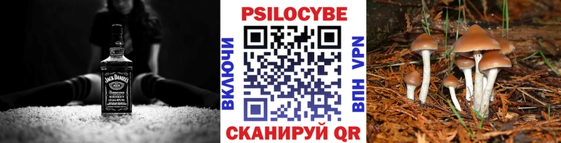 Галлюциногенные грибы прущие грибы  omg ONION  Кудымкар 