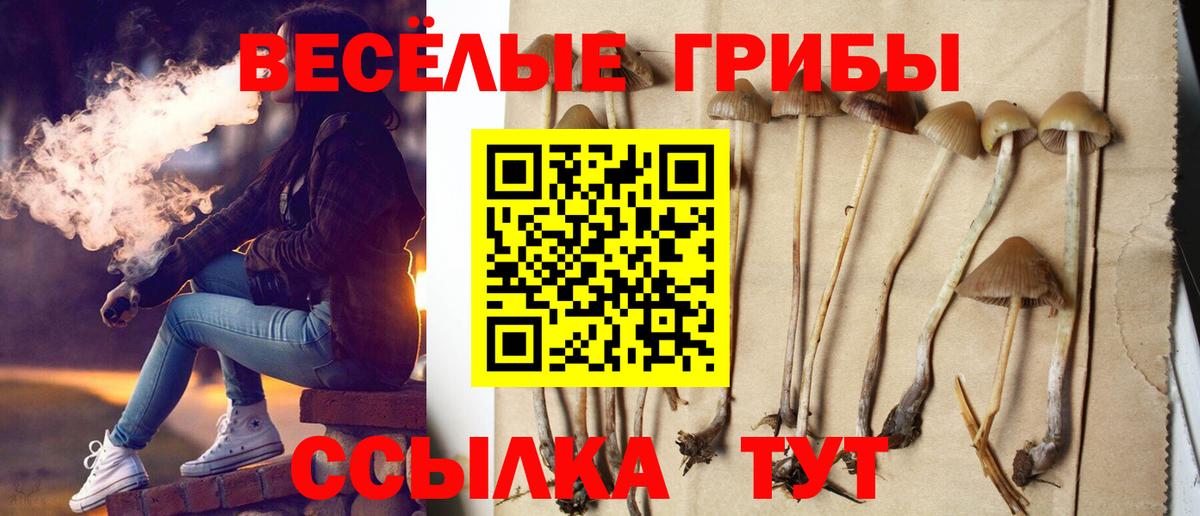 Галлюциногенные грибы MAGIC MUSHROOMS  где продают наркотики  Кудымкар  Вход с VPN 