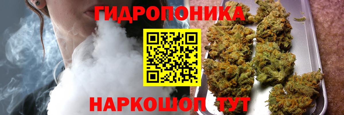 Бошки Шишки Amnesia Кудымкар